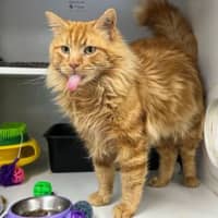 Photo of Ronald