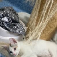 Photo of Cindy