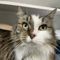 Photo of Bubby