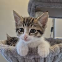 Photo of Amber & Arlee 🌷🌷