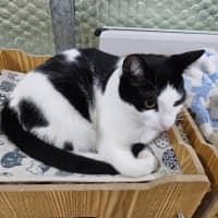 Photo of Mina