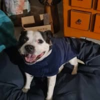 Photo of Benny