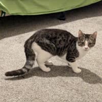 Photo of Kiki (Aka Heiki)