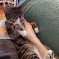 Photo of Cleo