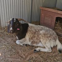 Photo of Carl
