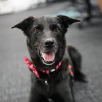 Photo of Marnie