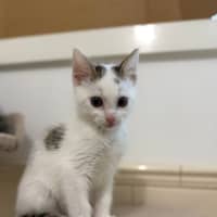 Photo of Kevin