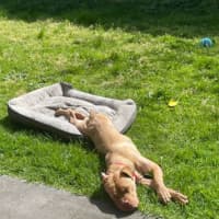 Photo of Bruce Bogtrotter