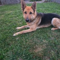Photo of Lucy