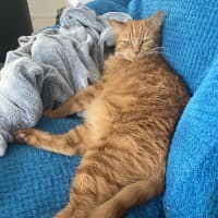 Photo of Trevor