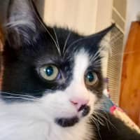 Photo of Jack Sparrow