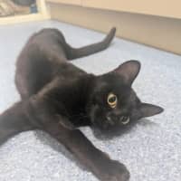 Photo of Lillith