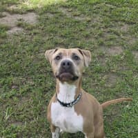 Photo of Stormi Rose