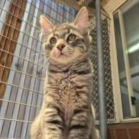 Photo of Winter! ❄️