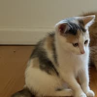 Photo of Margie 🌸🌸🌸