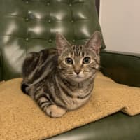 Photo of Louise