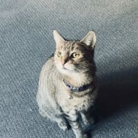 Photo of Mia