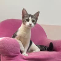 Photo of Amity (9967)