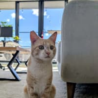Photo of Mr Bubbles