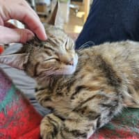 Photo of Shirley