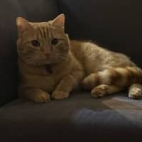 Photo of Garth