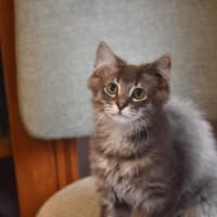 Photo of Velcro And Blu Tac