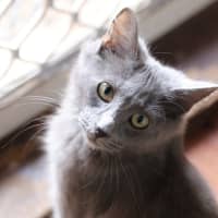 Photo of Storm