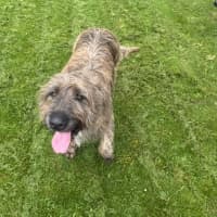 Photo of Murphy