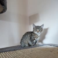 Photo of Artemis