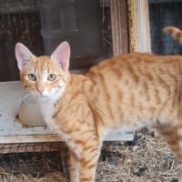 Photo of Jonah 