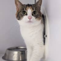Photo of Bonnie