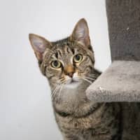 Photo of Tabitha