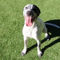 Photo of Missy