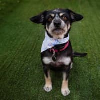 Photo of Jedda O'cleary