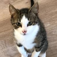 Photo of Soda