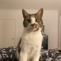 Photo of Blaze