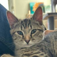 Photo of Nancy