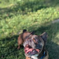 Photo of Axle