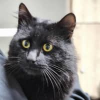 Photo of 🐻 Severus 6267 🐻