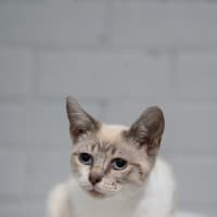 Photo of Benny
