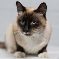 Photo of Sammy