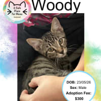 Photo of Woody