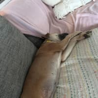 Photo of Milla 
