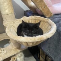 Photo of Astrid & Nova