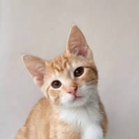 Photo of Maverick 