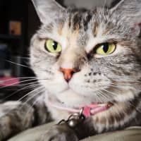 Photo of Ginny