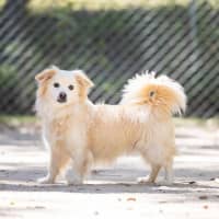 Photo of Hudson