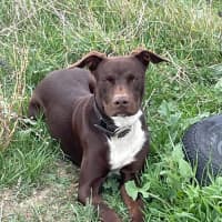 Photo of Patch