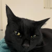 Photo of Bruno