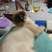 Photo of Lucy Lou